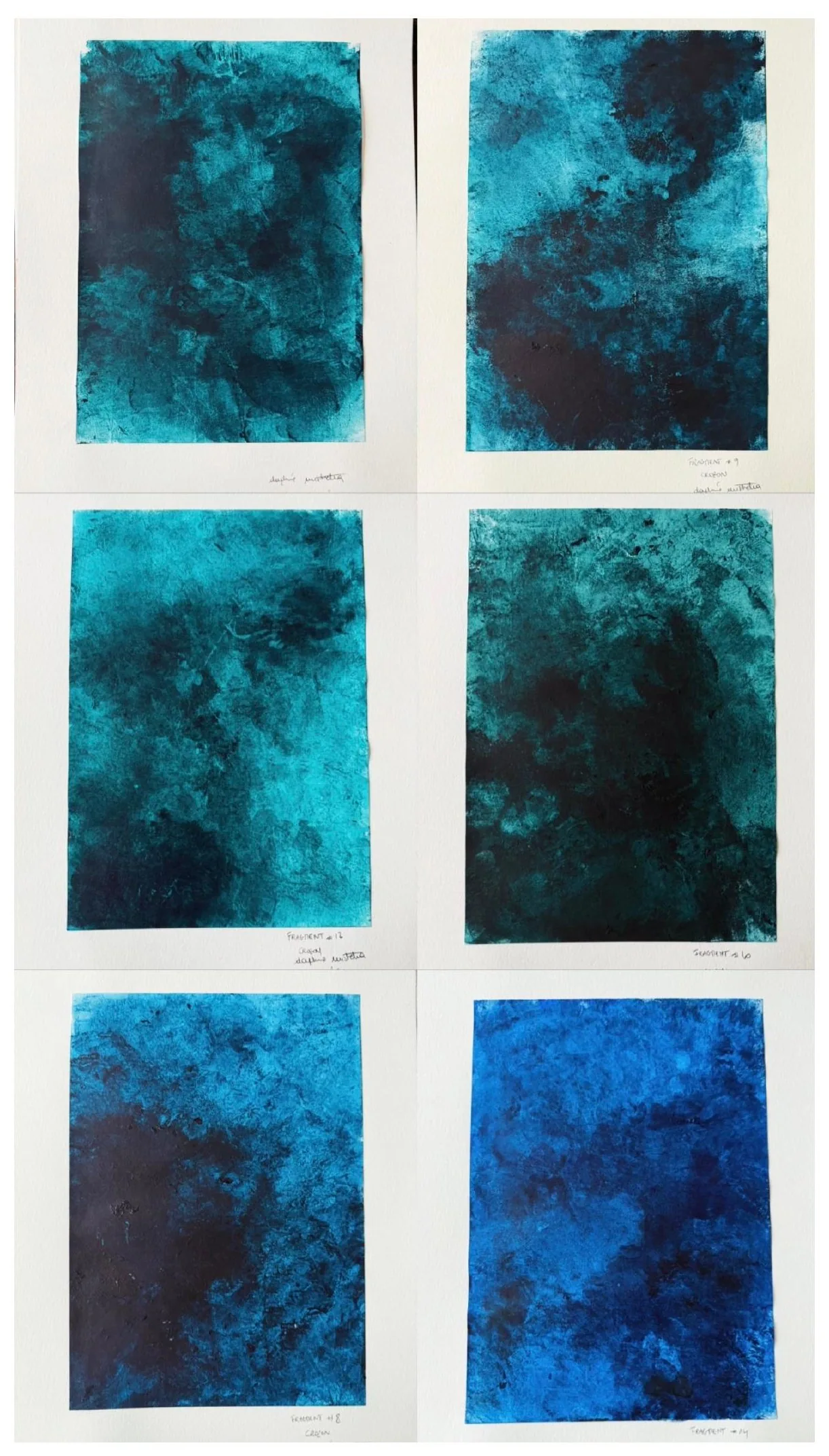 Planche d'études de six toiles bleues, extrait du livre